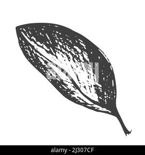 Realistic vector leaf. Vector ink element isolated on white Stock Vector