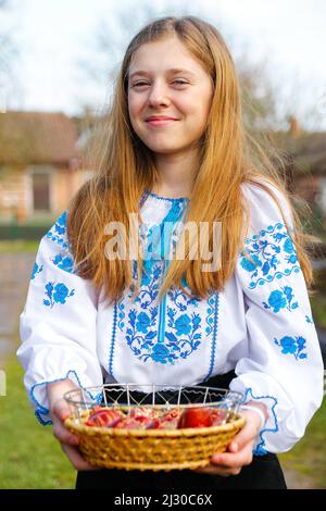 Defocus ukrainian girl in vyshyvanka holding basket of colored red eggs on nature green grass background. Easter, Ukraine. Craft painted eggs. Collect Stock Photo