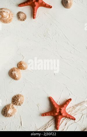 Summer beach background with brown seashells, red starfish and pebbles. Fisherman net and shells on textured cream color background. Summertime Stock Photo