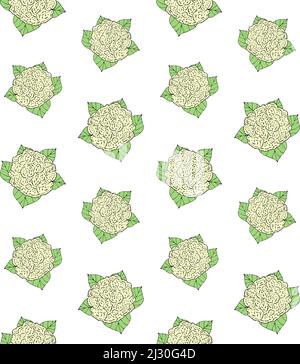 Vector seamless pattern of green hand drawn sketch cauliflower isolated on white background Stock Vector