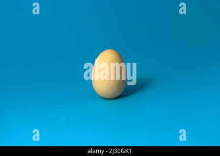 White chocolate Easter egg on blue pastel background. Close up. Stock Photo