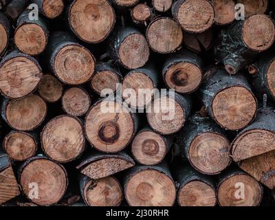 Background of wooden logs stacked in section Stock Photo