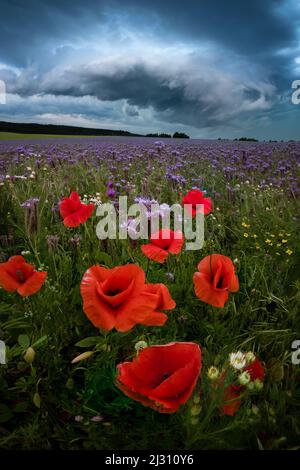 Storm gathering over the fields near Rohr, Thuringia, Germany Stock Photo