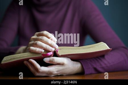 Close up view of woman holding an open Bible. Stock Photo
