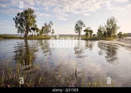 Lake Farihy Ampitabe, Canal des Pangalanes, Madagascar, Africa Stock Photo