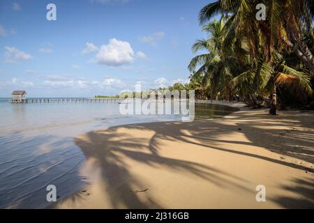 dreamy bay lined with palm trees, Nosy Nato, Ile aux Nattes, Madagascar, Indian Ocean, Africa Stock Photo