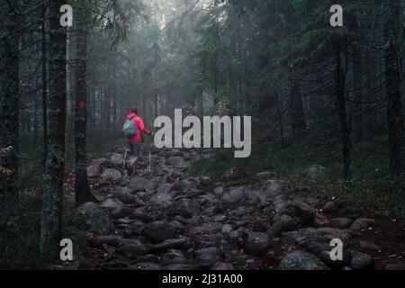 Woman hikes through the forest of Skuleskogen National Park in the east of Sweden Stock Photo