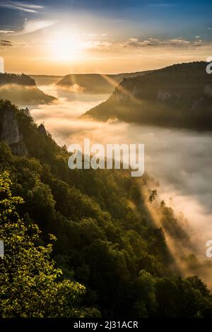 View from Eichfelsen to Werenwag Castle with morning fog, sunrise, near Irndorf, Obere Donau Nature Park, Upper Danube Valley, Danube, Swabian Alb, Baden-Württemberg, Germany Stock Photo