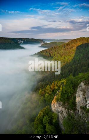 View from Eichfelsen with morning mist, sunrise, near Irndorf, Obere Donau Nature Park, Upper Danube Valley, Danube, Swabian Alb, Baden-Württemberg, Germany Stock Photo