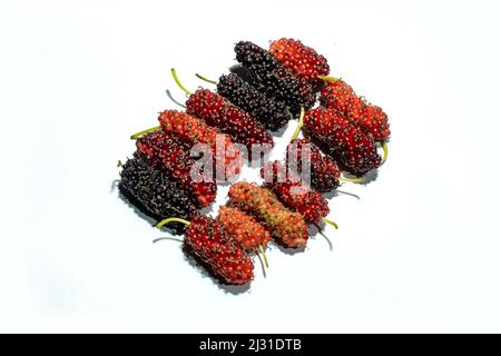 Morus alba or Mulberries are the sweet, hanging fruits from a genus of deciduous trees that grow in a variety of temperate areas around the world. Iso Stock Photo