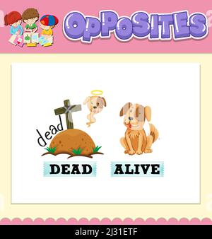 Opposite words for dead and alive illustration Stock Vector