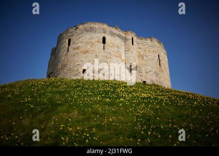 York Castle fortified complex in city of York, England, North Yorkshire  medieval Norman castle commonly referred to as Clifford's Tower Stock Photo