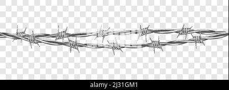 Metal steel barbed wire with thorns or spikes realistic vector illustration isolated on transparent background. Fencing or barrier element for danger Stock Vector