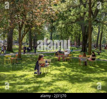 CAMBRIDGE, MA, USA - SEPTEMBER 13, 2017: Students and tourists rest in lawn chairs in Harvard Yard, the open old heart of Harvard University campus  i Stock Photo