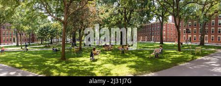 CAMBRIDGE, MA, USA - SEPTEMBER 13, 2017: Students and tourists rest in lawn chairs in Harvard Yard, the open old heart of Harvard University campus  i Stock Photo