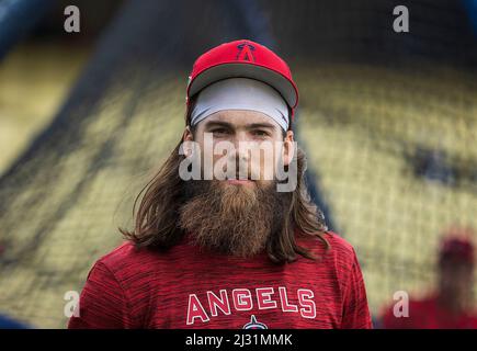 Brandon Marsh - LA Angels  MLB Daily 