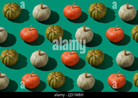 Pattern of pumpkins on green background. Autumn harvest. Pumpkin. Thanksgiving Day. Food for Halloween. Stock Photo