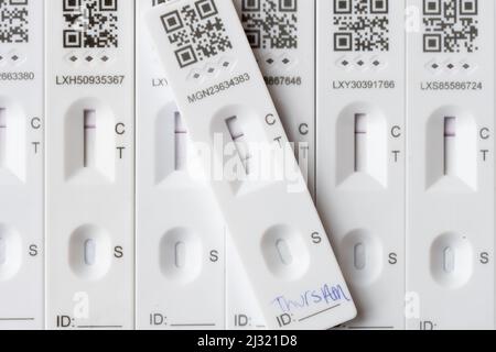 Studio Photograph of COVID Lateral Flow Tests  - Positive and Negative Stock Photo