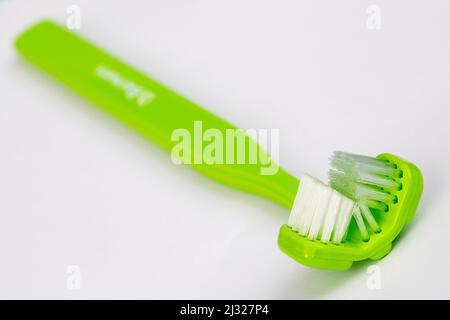 A tongue cleaner (also called a tongue scraper or tongue brush) is an oral hygiene device designed to clean the coating on the upper surface of the to Stock Photo