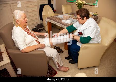 Netherlands, nurse of an home care organisation applies compression bandaging of the lower limb for oedema and lymphoedema of an elderly woman. Stock Photo