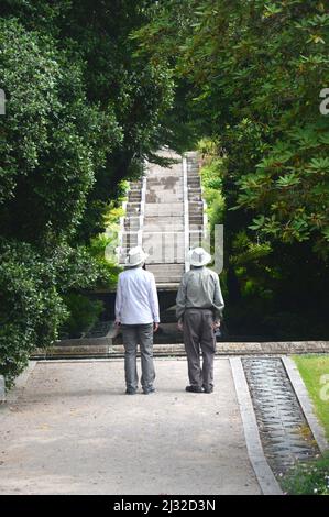 A Couple Standing & Looking at the Steps to Neptune's Statue & Water Cascade at Holker Hall & Gardens, Lake District, Cumbria, England, UK. Stock Photo