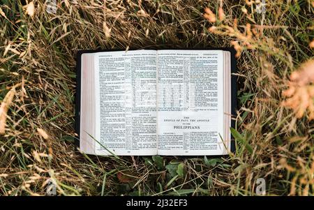 The Christian Holy Bible open in a warm, sunny field to the book of Philippians, a letter of Paul in thee New Testame Stock Photo