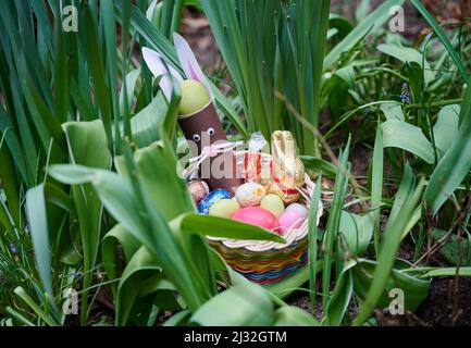 PRODUCTION - 01 April 2022, Berlin: ILLUSTRATION - An Easter nest with made bunny, chocolate bunny, colored eggs and chocolate eggs lie in a flower bed. (posed scene) Photo: Annette Riedl/dpa Stock Photo