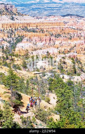 Horseback riders, Bryce Canyon, Bryce Canyon National Park, Utah, USA Stock Photo