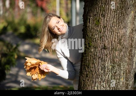Laughingblond woman, picking up, holding bunch of golden foliage yellow leaves maples in two hands, decorate blur. Close Stock Photo