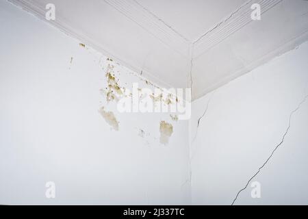 Building damage concept: small moldy water stains and cracks in walls and ceiling stucco of an old house. Stock Photo