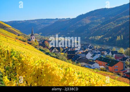 View of Ediger, Ediger-Eller, Moselle, Rhineland-Palatinate, Germany Stock Photo