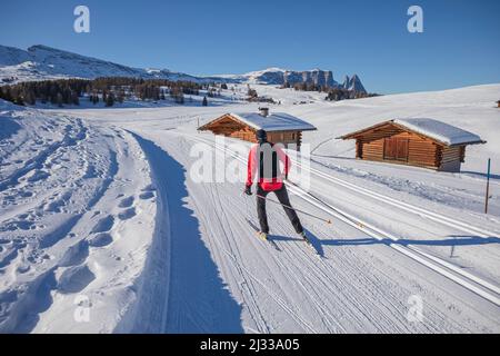 Ski trails on the plateau near Seiser Alm and Ortisei in Gröden aka Val Gardena, Autonomous Province of Bolzano - South Tyrol, Italy Stock Photo