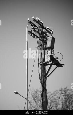 A vertical grayscale closeup of the old wooden electric pole. Stock Photo