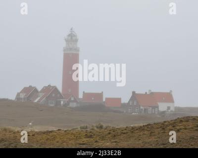 The lighthouse of De Cocksdorp on Texel in a foggy, misty landscape. Stock Photo
