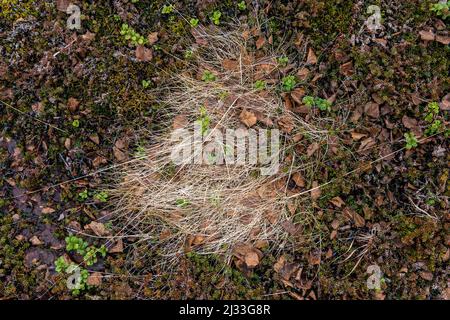 Hiking area. Midtre Kaldslett. Tromsø/Norway. Stock Photo