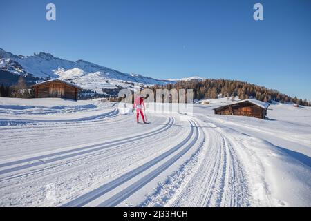 Ski trails on the plateau near Seiser Alm and Ortisei in Gröden aka Val Gardena, Autonomous Province of Bolzano - South Tyrol, Italy Stock Photo