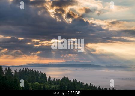 Atmospheric Morning In The Foothills Of The Allgäu Alps. View Of The 