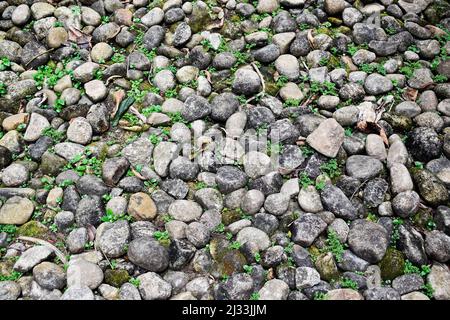 Stone floor in the park Stock Photo