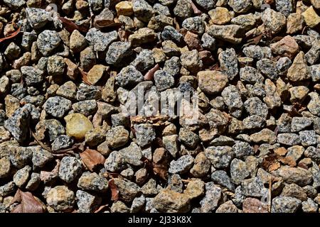 Stone floor in the park Stock Photo