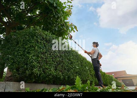 Low angle view of male gardener in safety mask and gloves using electric trimmer for removing dry leaves and branches on tree. Caucasian man taking care of plants to garden. Stock Photo