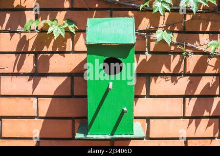 green bird house on terrace brick wall Stock Photo
