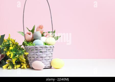 Easter basket of eggs flowers tulips blooming branches on the table on a pink background. Stock Photo
