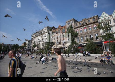 Hundreds of pigeons in flight on Old Market Square in Nottingham in the UK Stock Photo