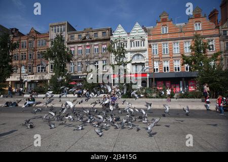 Hundreds of pigeons in flight on Old Market Square in Nottingham in the UK Stock Photo