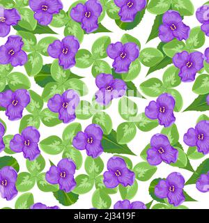 Seamless pattern with summer flowers and leaves on a white background Stock Vector