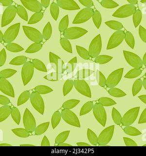 Seamless pattern of green leaves of clematis flowers on a light green background Stock Vector