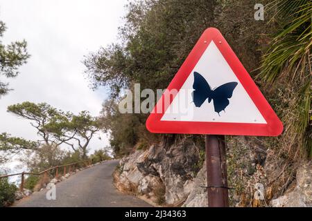 Warning triangle road traffic sign for butterflies, Gibraltar Stock Photo