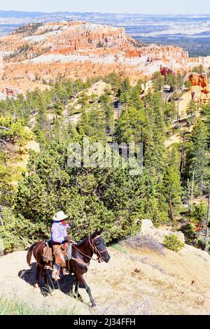 Horseback rider, Bryce Canyon, Bryce Canyon National Park, Utah, USA Stock Photo