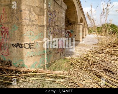 Environmental landscape of invasive reeds (Phragmites australis) tossed around by the flooding Algar river near Altea, Costa Dorada, Spain Stock Photo