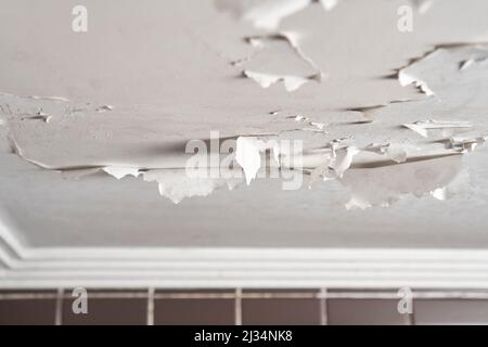 Damaged bathroom ceiling with cracked and peeling white paint on painted drywall close-up. Humidity and dampness in an apartment room with mildew. Det Stock Photo
